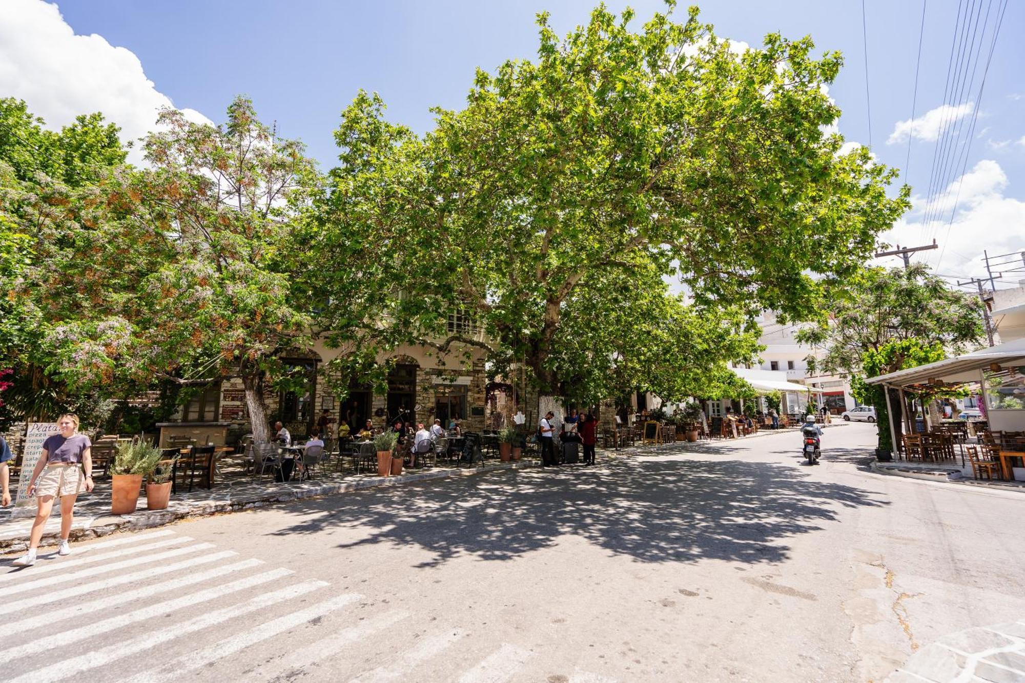 Michael'S Apartment Filoti מראה חיצוני תמונה